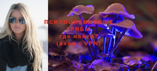 jwh Богданович