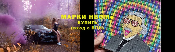 соль ск Богородицк