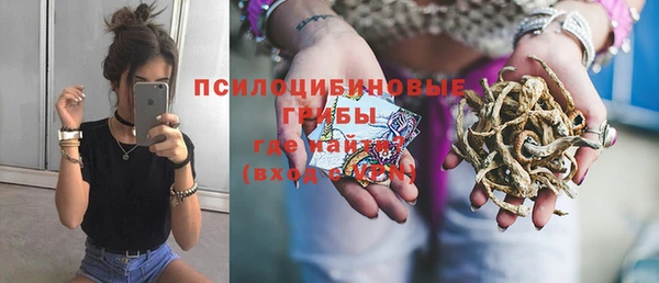 соль ск Богородицк