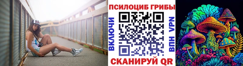купить  сайты  Очёр  Псилоцибиновые грибы Cubensis 